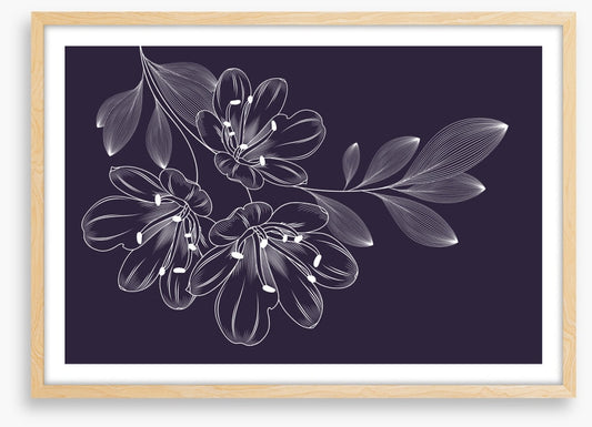 Lily trio flourish