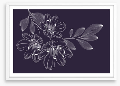 Lily trio flourish