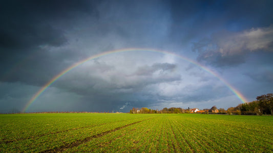 Rainbows