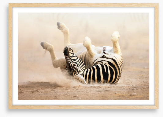 Mammals