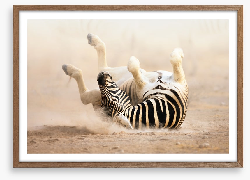 Mammals