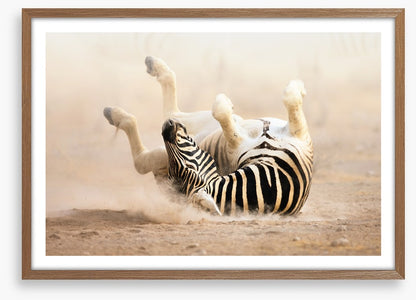 Mammals