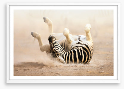 Mammals