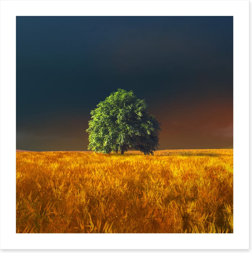 Alone in the rye