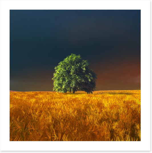 Alone in the rye