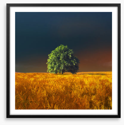 Alone in the rye