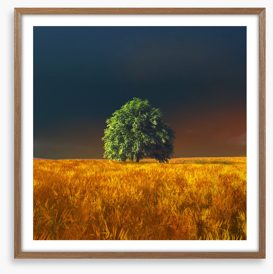 Alone in the rye