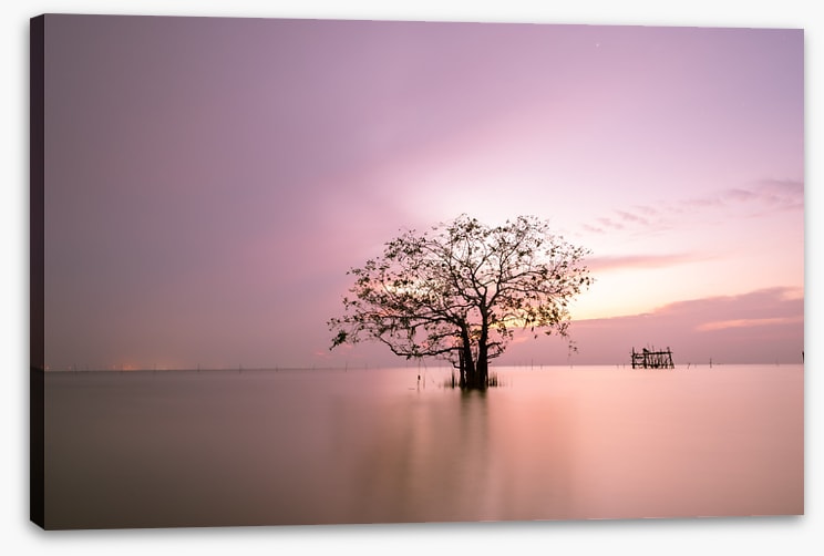Trees