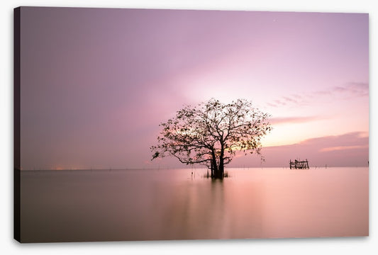 Trees