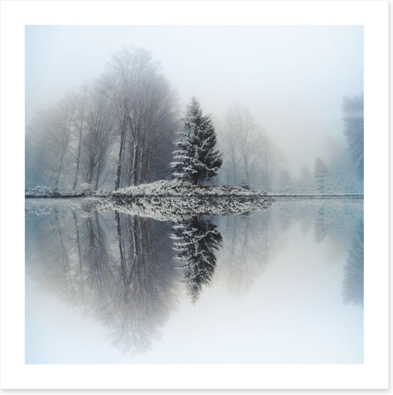 Mirror lake fir