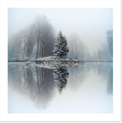 Mirror lake fir
