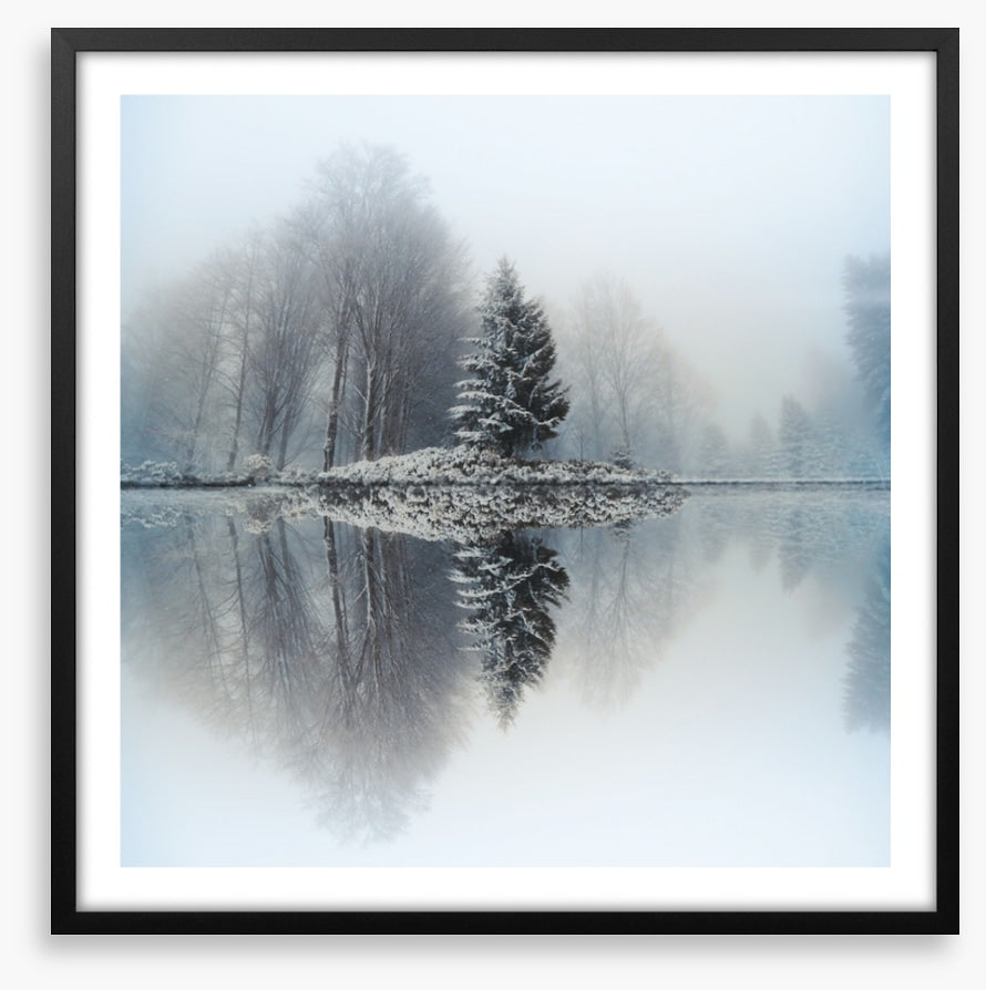Mirror lake fir