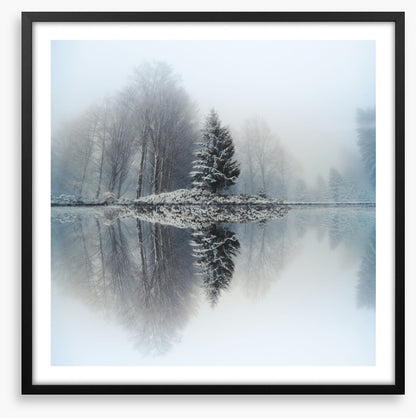 Mirror lake fir