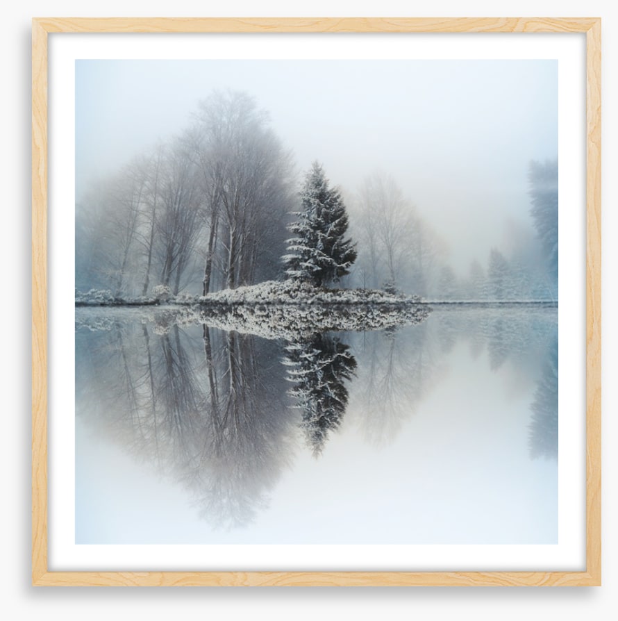 Mirror lake fir