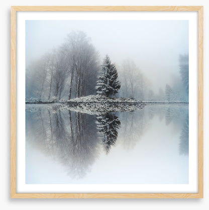 Mirror lake fir
