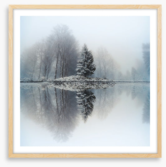 Mirror lake fir