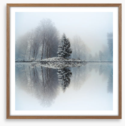 Mirror lake fir