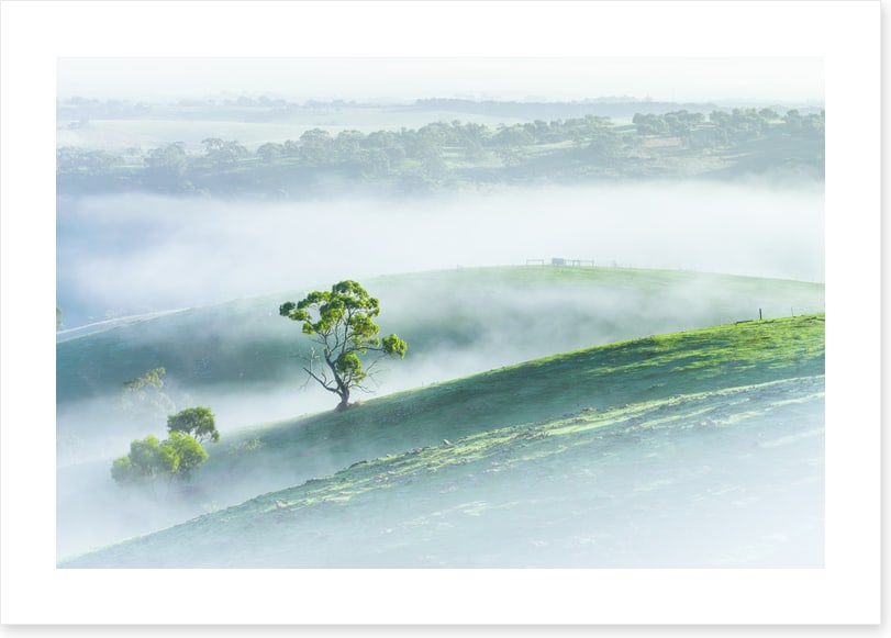 Morning mist