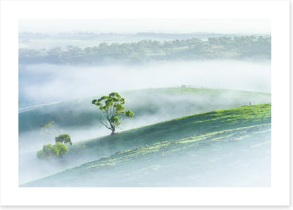 Morning mist