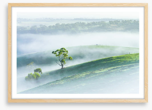 Morning mist