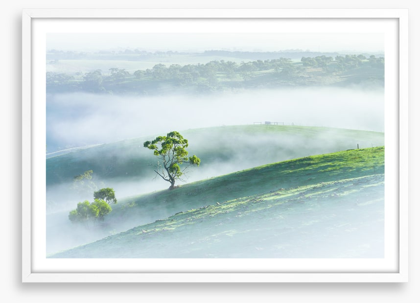 Morning mist