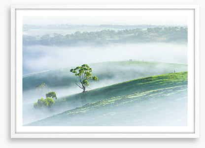 Morning mist