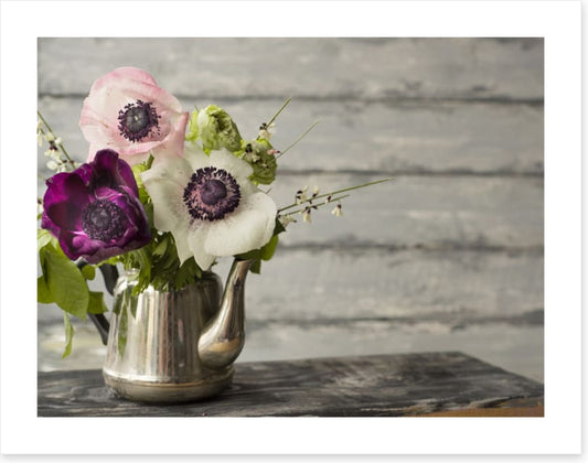 Vintage anemones