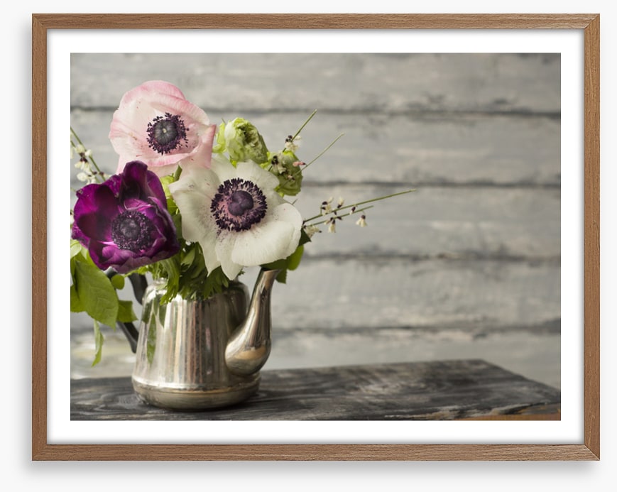 Vintage anemones