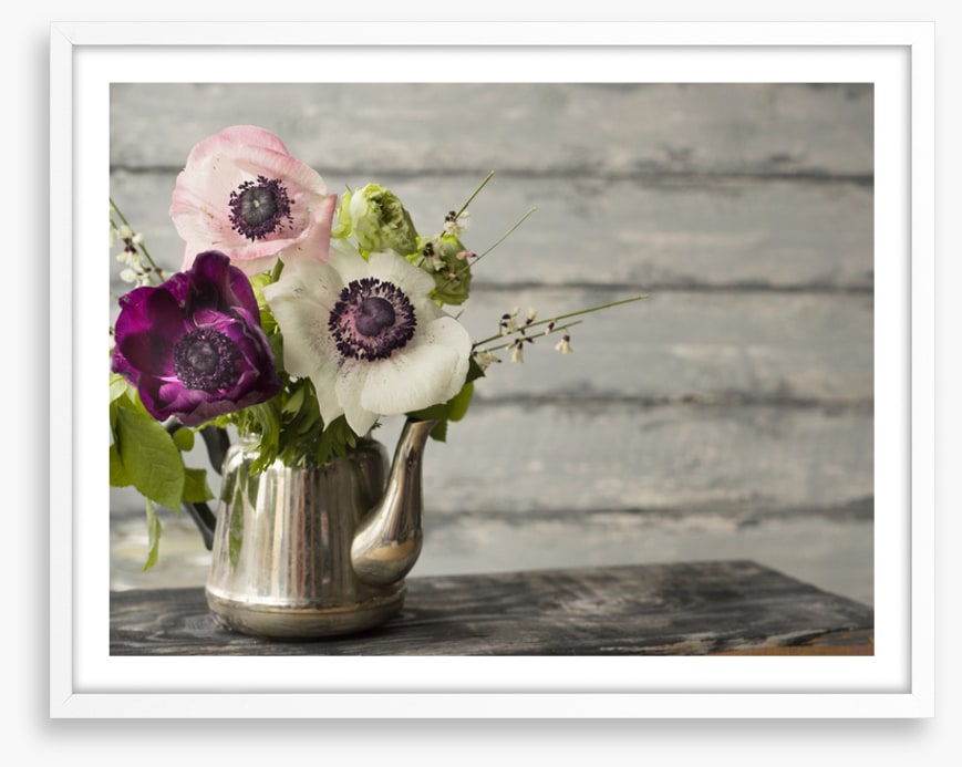 Vintage anemones
