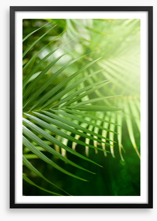 Jungle greens