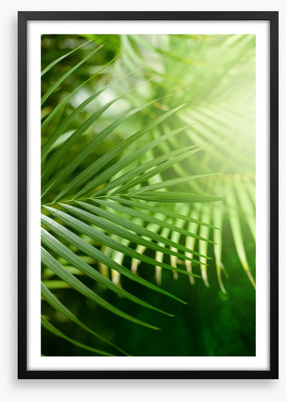 Jungle greens
