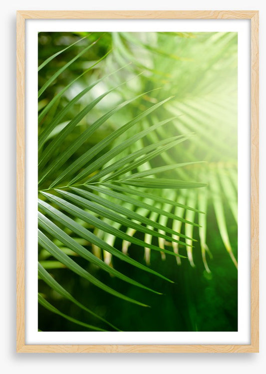 Jungle greens