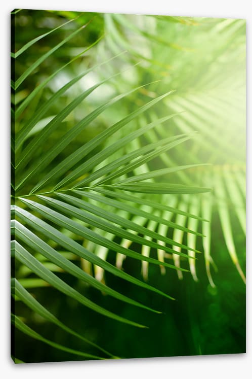 Jungle greens