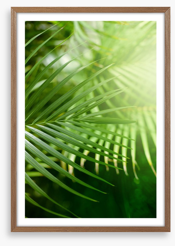 Jungle greens