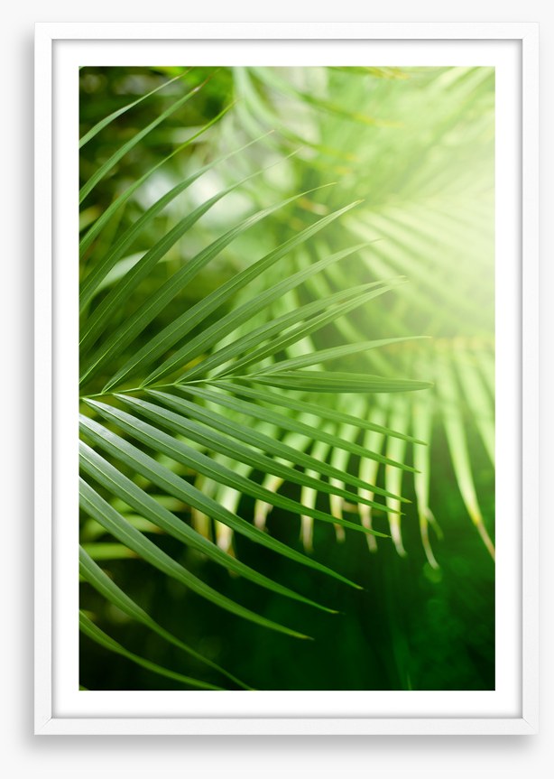 Jungle greens
