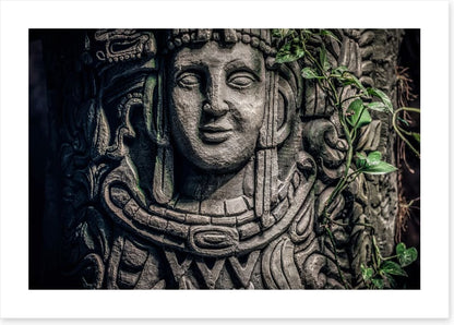 Face of the jungle