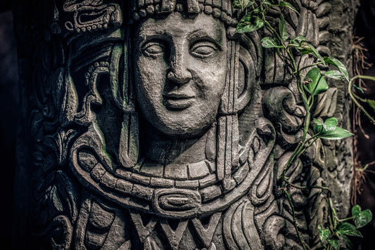Face of the jungle