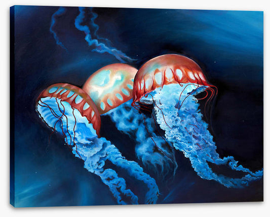 Deep sea jellyfish