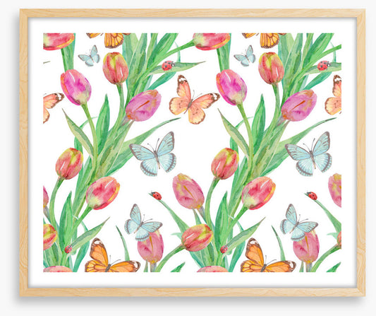 Butterfly tulips