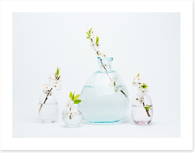 Sprigs of simplicity