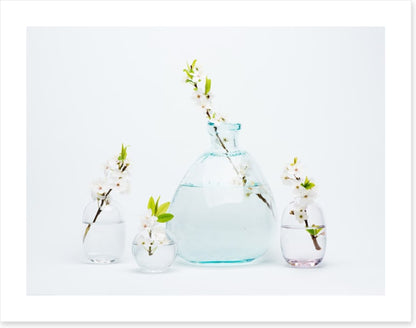 Sprigs of simplicity
