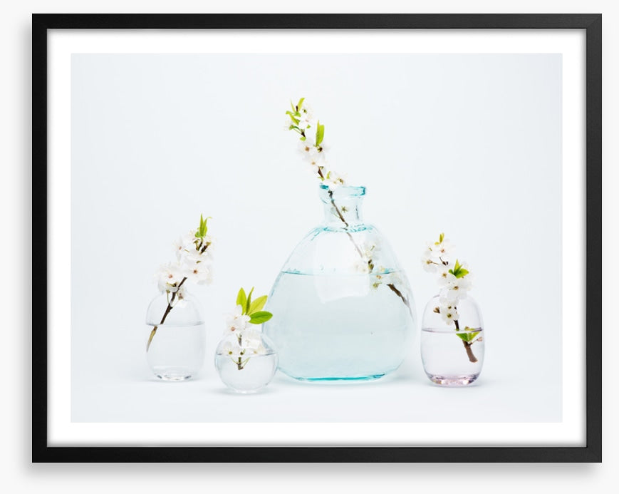 Sprigs of simplicity