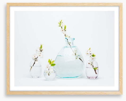 Sprigs of simplicity