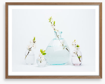 Sprigs of simplicity