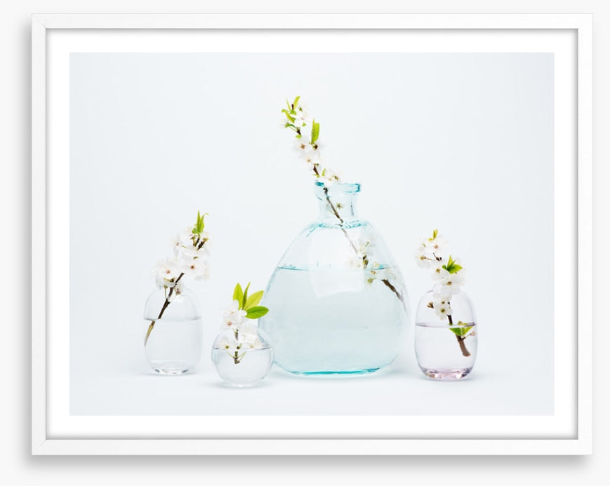 Sprigs of simplicity