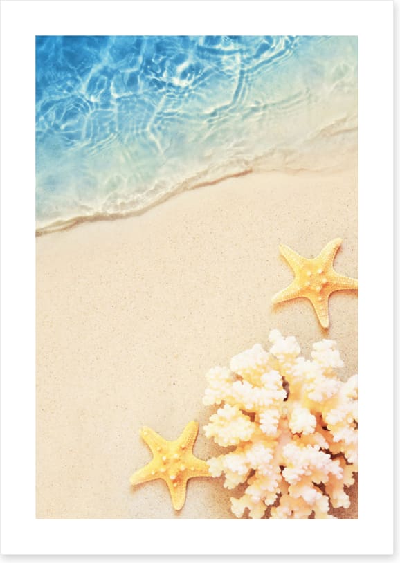 Yellow starfish sands