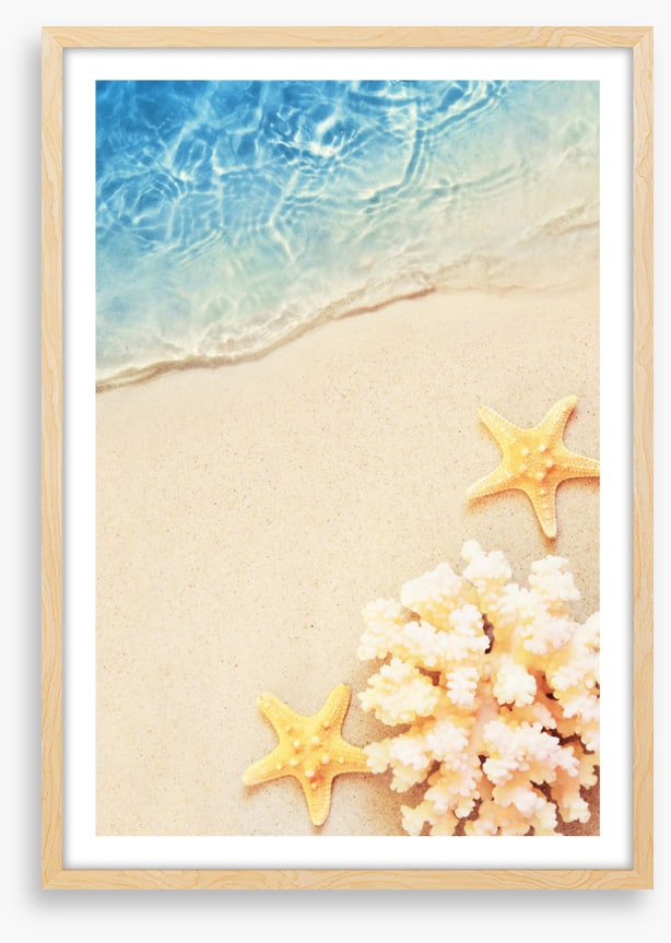 Yellow starfish sands