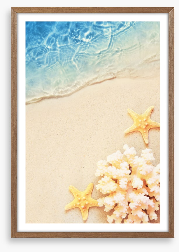 Yellow starfish sands