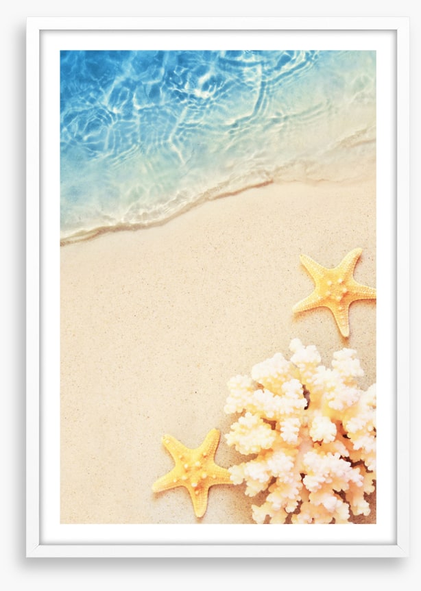 Yellow starfish sands