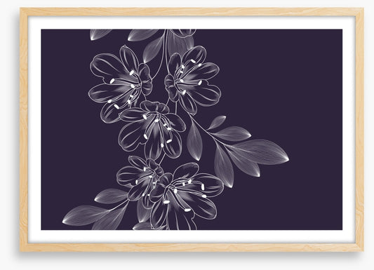 Lily flower flourish